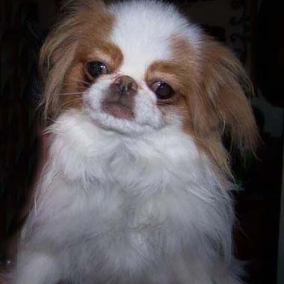 Meet your Posher, Kayla - Picture 8 of 9